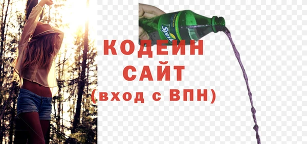 дмт Богданович