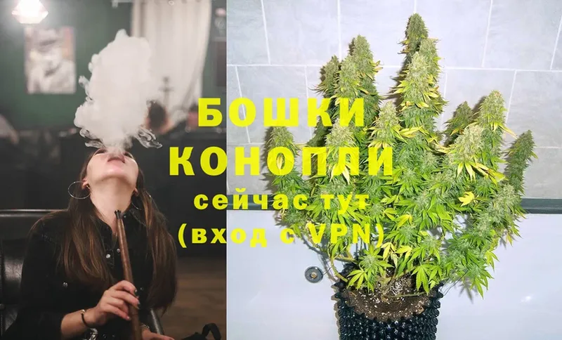 Бошки Шишки Ganja  купить закладку  Духовщина 